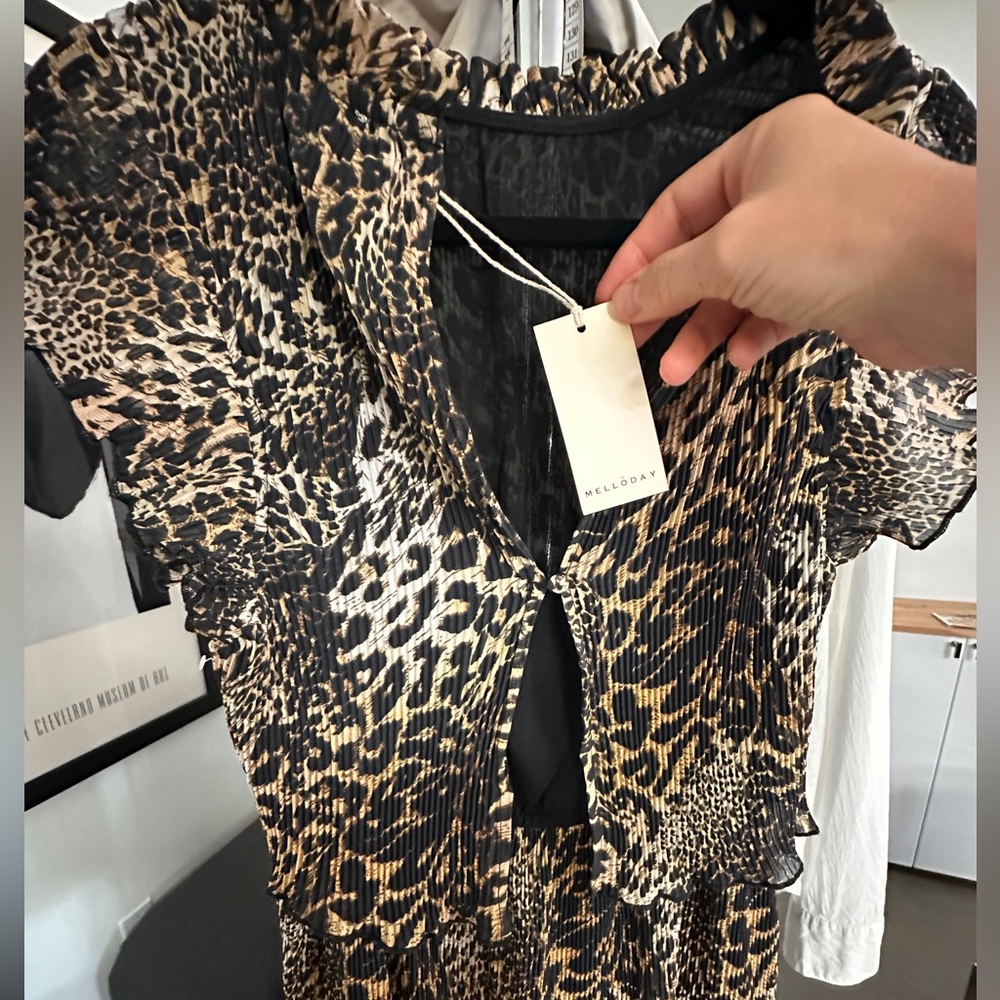 Mellóday Leopard Dress - Picture 6 of 15